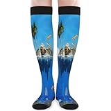 Unisex Arbeits Socken Schildkröte Tropischer Fisch Thermo Socken Modische Socken Praktischen Sport Socken Für Outdoor Komfort Basketball