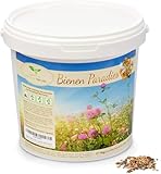 Magic of Nature Blumensamen Mischung - Bienen Paradies - 1kg - Kinderleichte Anwendung - Blühfreudige Bienenweide - Aussaat-Tipps - Für 300 bis 500 m²