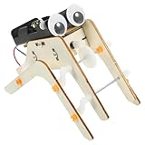 Spinne aus Holz – Spinne aus Holz für Halloween | realistische und wissenschaftliche Spinnen | sensorisches und pädagogisches Experimentierspielzeug für Spiele nach der Schule, Geburtstage