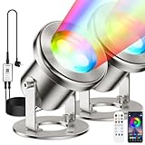 LyLmLe Teichbeleuchtung LED Unterwasser mit APP-Kontrolle, 6W RGB Poolbeleuchtung Unterwasser mit Transformator & Timer, IP68 Wasserdicht Teichlicht für Wasserfall Brunnen, Schwarz Kabel (2 Lichts)