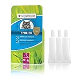 bogaprotect SPOT ON für Katzen - Zecken und Flohmittel Katzen - 4-7 kg - Mittel gegen Katzenflöhe & Zecken - Katzen Flohmittel - UBO0356 - Vorrat für 12 Wochen