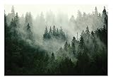 Vlies Fototapete Wald Nebel Landschaft Grün Natur Bäume 368x254 cm - inkl. Kleister - Wohnzimmer Schlafzimmer 3D Effekt Vliestapete Wandtapete Vlies Tapete UV-Beständig Montagefertig