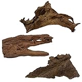 AquaOne Mangrovenwurzel Gr.XXL 1 Stück 70-80 cm Aquarium Mangrove Holz Natur Aquascaping Dekoration Landschaft Natur Echtholz Wurzel