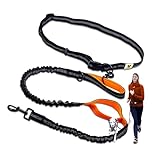 Hundefreund Joggingleine für große Hunde ab 15 kg | Elastische Freihandleine mit leichtem Bauchgurt | Abnehmbare Hundeleine mit 2 weichen Schlaufen | Orange Laufleine (120 cm, dehnbar bis 170 cm)