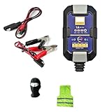 Kompatibel mit GARELLI VIP 3 50 Super Autoladegerät 6 V/12 Volt für Blei-/AGM/Gel-/Lithiumbatterien, Ladestation für Autos, Motorräder, Camper, Quads, Jetski
