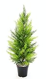 Künstliche Zypresse im Topf 65cm Thuja Lebensbaum Kunstpflanze Pflanzen Dekopflanze immergrün Kunstbaum Baum Dekobaum Topfpflanze Nadelbaum Terrassendeko Koniferen Hochzeit Deko Spalier Zierbaum