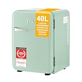 TZS First Austria - Retro Mini Kühlschrank 40L lautlos - Kleiner Minikühlschrank im Vintage-Design mit Innenbeleuchtung & 2 Türfächern - Minibar für Camping, Büro, Schlafzimmer & Hotel - mint