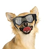 NAMSAN Hundebrille für Kleine Hunde UV-Schutz Hunde Sonnenbrille mit Einstellbar Gummiband Winddichte Hunde Motorradbrille-Schwarz