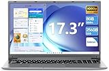 Naclud Laptop, 17,3 Zoll Laptops Computer, 8 GB DDR4 256 GB SSD Notebook mit Celeron N4000 Prozessor (bis zu 2,6 GHz), 8000 mAh, Webcam, Mini HDMI, USB3.0 * 2, Dual WiFi, Typ-C