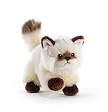 Plüschtier Katze Thaytoo - 21 cm