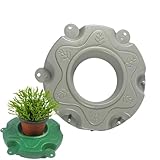 Schwimmende Insel, Wasserpflanzenring, Teich-Pflanzerinsel, schwimmende Teichinsel, Pflanzenschutz, Verbesserung der Teichästhetik, langlebiges Material für Teich, Garten