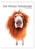 Der Fisheye Tiere Kalender (Wandkalender 2023 DIN A4 hoch), Calvendo Monatskalender