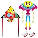 Großer Quallen und Fische Drachen Flugdrachen Einleiner, Large Easy Flyer Regenbogendrachen mit Langen bunten Schwänzen für Spiele und Aktivitäten im Freien für Erwachsene 2pcs Set