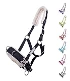 NETPROSHOP Kappzaum Longierhilfe für Bodenarbeit Shetty, Pony, Cob, Full, Groesse:Pony, Farbe:Schwarz