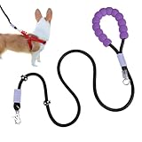 Hundeleine aus Nylon, 2 m langes Outdoor-Hundeseil, starke Hundeleine mit gepolstertem Griff für zahnende Welpen