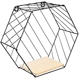 GARVALON Eisen Wandregal Hexagon Mehrzweck Wandablage Rostfrei Praktisch für Küche Bad Wohnzimmer Kompaktes Aufbewahrungsregal Modernes Design