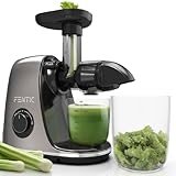 Fentic Slow Juicer – Entsafter Gemüse und Obst – Horizontale Saftpresse Elektrisch mit Rückwärts-Funktion – Leiser und Leistungsstarker Motor – Juicer Machine mit Fruchtfleisch und Saftbehälter