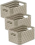 Rotho Country 3er-Set Aufbewahrungskiste 2l in Rattan-Optik, Kunststoff (PP) BPA-frei, cappuccino, 3 x A6/2l (18.3 x 13.7 x 9.8 cm)