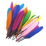 Federn 50 Stück dekorative Bastelfedern, leichte Materialien mit natürlicher Textur, künstlerische handgefertigte Materialien | lebendige dekorative Accessoires für Heimwerk