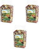 JR Farm Garden Eichhörnchen-Schmaus 600g Größe 3 x 600g