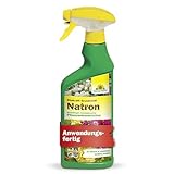 Neudorff BioKraft Grundstoff Natron – Anwendungsfertiges Spray gegen Pilzkrankheiten an Rosen und anderen Zierpflanzen, mit pflanzlichen Inhaltsstoffen, 500 ml