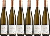 Sipp-Mack Riesling Grand Cru Osterberg Alsace AOP 2021 Trocken Bio (6 x 0.75 l)