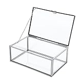 Homtone Silber Vintage Glasbox 15x9x5,5 cm, Dekorativer Schmuck Organizer für Ringe, Armbänder, Halsketten, Rechteckige Schmuckbox für Hochzeit, Geburtstag, Party, Home