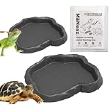 MaNeaz 2 Stück Schildkröten Zubehör Terrarium Zubehör Wasserschale Terrarium Reptilien Wasserschale, Futterschale,Terrarium Trinkschale, Wassernapf（grau）