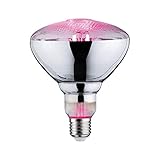 Paulmann 28737 LED Lampe Pflanzenlicht 6,5W Leuchtmittel Wachstumslicht Beleuchtung Glas Licht 1300 K E27