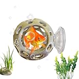 Hailerio Betta Versteck - Kleine Höhle zum Verstecken mit Saugnapf | Betta Habitat Ruheplatz Unterschlupf Dekoration - für Buntbarsche Flusskrebse Aquarientiere Zuhause Wohnheim Wohnung