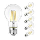 LVWIT 11W E27 Filament LED Glühfaden A60, ultrahell 1521 LM, 2700K Warmweiß, ersatz für 100W Glühlampe, nicht dimmbar, Rustikalampe in Kolbenform, Filamentstil klar (6er Pack)