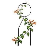 Pflanzen Rankgitter Für Innen,Robuste Metall Stützstange - Kletterhilfe Für Pflanzen Garten Spalier | Für Topf-Efeu Ranken Zimmerpflanzen Garten Terrasse Rasen Balkon