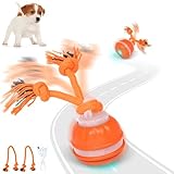 IOKHEIRA Hundeball, Interaktives Hundespielzeug, Aktiver Rollender Hundeball, Bewegungsgesteuertes Vergnügen, Intelligenter Ball, USB-aufladbar, Mit Zwei Kauschnüren Für Kleine Und Mittelgroße Hunde