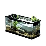 Transparentes Tischaquarium – Acryl-Fischtank, Aquariumtank | Fischtank-Starter-Kits mit Luftpumpe, kompaktes Desktop-Aquarium, Set