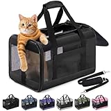 Conlun Katzenboxe Flugzeugtauglich, Weichseitige Hundetransportbox mit Innenleine, Transport für kleine bis mittelgroße Katzen und Welpen bis 7 kg, Zusammenklappbare Reisetasche -Schwarz,M