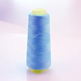 Nähgarn for Haushaltsmaschinen, 1500 Yards leuchtende Stickgarne / leuchtendes Nähgarn fluoreszierende Lichtfäden Kostüm Nachtgarn Hut-Blau ( Color : Blu )