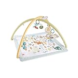 Fisher-Price Simply Senses Sensorische Erlebnisdecke - mit Plüsch-Koala, Spiegel, Rassel, Beißring und knisterndes Spielzeug, maschinenwaschbare Spielmatte, für Neugeborenen, HRB15