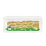 AntHouse - Natürliche Ameisenfarm aus Sand Weiß | 3D Big Starter Set 30x15x10 cm | Ant Farm | Inklusive Ameisenkolonie