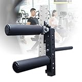 LwiftGal Sitzende Beinverlängerung Ausrüstung, Fitness Squat Rack Zubehör, Bein Stärke Curl sportliche Praxis Maschine für Workout-Ausrüstung,26mm