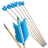 ZSHJGJR 6/12 Stück 32 Zoll Holzpfeile für Bogenschießen Pfeile aus Holz Jagdpfeile Bogenpfeile in Handarbeit mit Naturfedern für traditionellen Bogen Recurvebogen Langbogen (Hellblau, 6pcs)