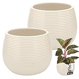 KOTARBAU® Blumentopf Cremefarbe Keramik rund ⌀ 12 cm Höhe 14 cm Glasierte Keramik 2 St. Blumenübertopf groß Übertopf Keramik Pflanztopf Keramik Blumentopf Keramik Pflanzkübel Keramik