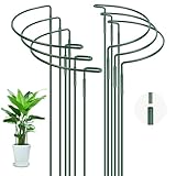 OFFCUP Pflanzenstützen, 6 Stück Pflanzenhalter Ringkäfig 25 * 40CM Staudenhalter Halbrund Metall Strauchstützen Blumenstütze für Gemüse, Tomaten, Pfingstrosen, Rosen, Hortensien, Topfpflanzen