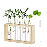 Tischplatte Hängende Glas Pflanzer Vermehrungsstation Moderne 5 Reagenzglas Blume Knospe Vase in Holz Stehen für Hydroponik Pflanzen Stecklinge Büro Home Decoration