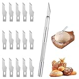 MBAIYO Bäckermesser mit 15 Klingen, Brot Bäcker Cutter Baguettemesser Edelstahlgriff Teig Rasiermesser mit Kunststoff Schutzhülle Teigmesser Brotmesser für DIY Brotteig Muster Ritzmesser Einschneiden