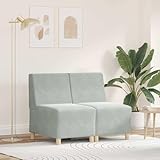HETFTJN 2er Modulares Armfreies Sofa Hellgrau Samt 55x74x82 cm Modernes Zweisitzer Ecksofa Klein für Wohnzimmer Jugendzimmer Schlafzimmer Büro