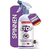 KRAFTKÖNIG Spinnenspray 500 ml – Starkes Spinnenabwehr Spray für Haus, Keller, Balkon & Terrasse, sofort einsatzbereit, insektizidfrei & Made in Germany, für innen & außen