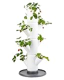 Sissi Strawberry (Starter, weiß) - Pflanzgefäß/Topf/Pflanzturm/Hochbeet für Erdbeeren - für Balkon, Garten und Terrasse - Erdbeeren und Kräuter anpflanzen