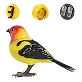 Vogelspielzeug für Kinder, interaktiver elektrischer Vogel, elektronisches Haustier, realistische Dekoration für Kinderzimmer, Kindergarten, Reisen