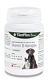 EXVital Tierplus Vitamin B Komplex für Hunde & Katzen- B1, B2, B3, B5, B6, B9, B12, K3, 120 Tabletten, hochdosiert- Made in Germany