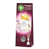 Air Wick Duftstäbchen – Raumduft Sommervergnügen – 1 x 30 ml Lufterfrischer für die Wohnung
